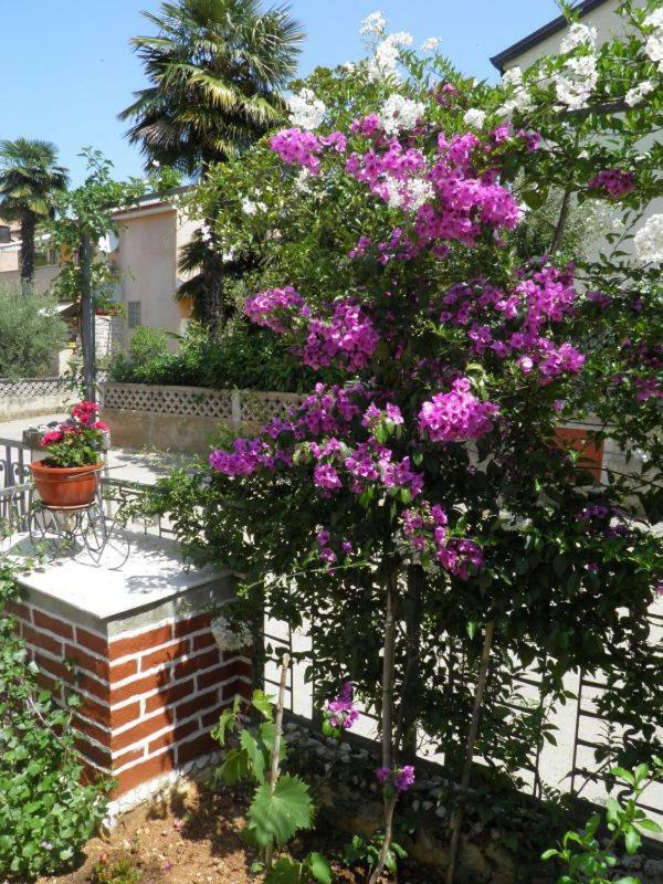 Ferienwohnung Sendi Poreč Exterior foto